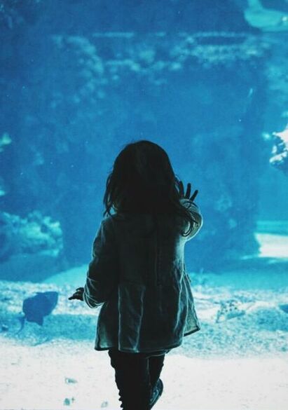Image: Girl in front of fish tank by Caroline Hernandez on Unsplash